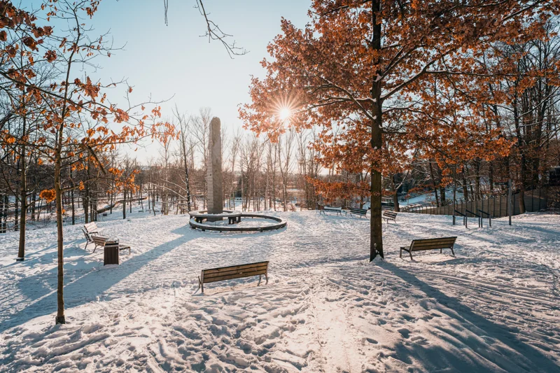 Visit Plzeň — procházka zasněženým parkem