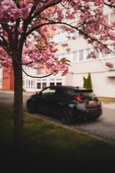 GR yaris